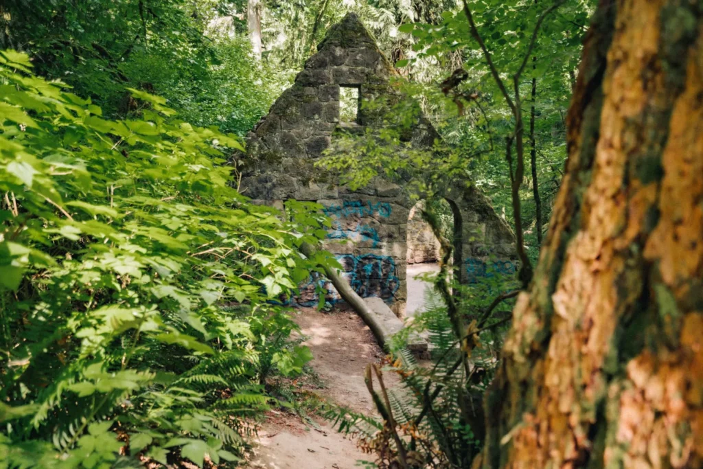 witchs-castle 6