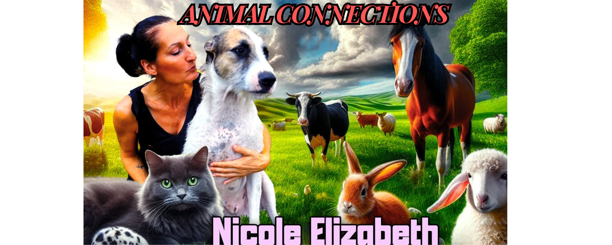 Animal Connections